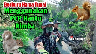 Download lagu Berburu Hama Tupai menggunakan PCP Hantu Rimba Cal 177 Small Game