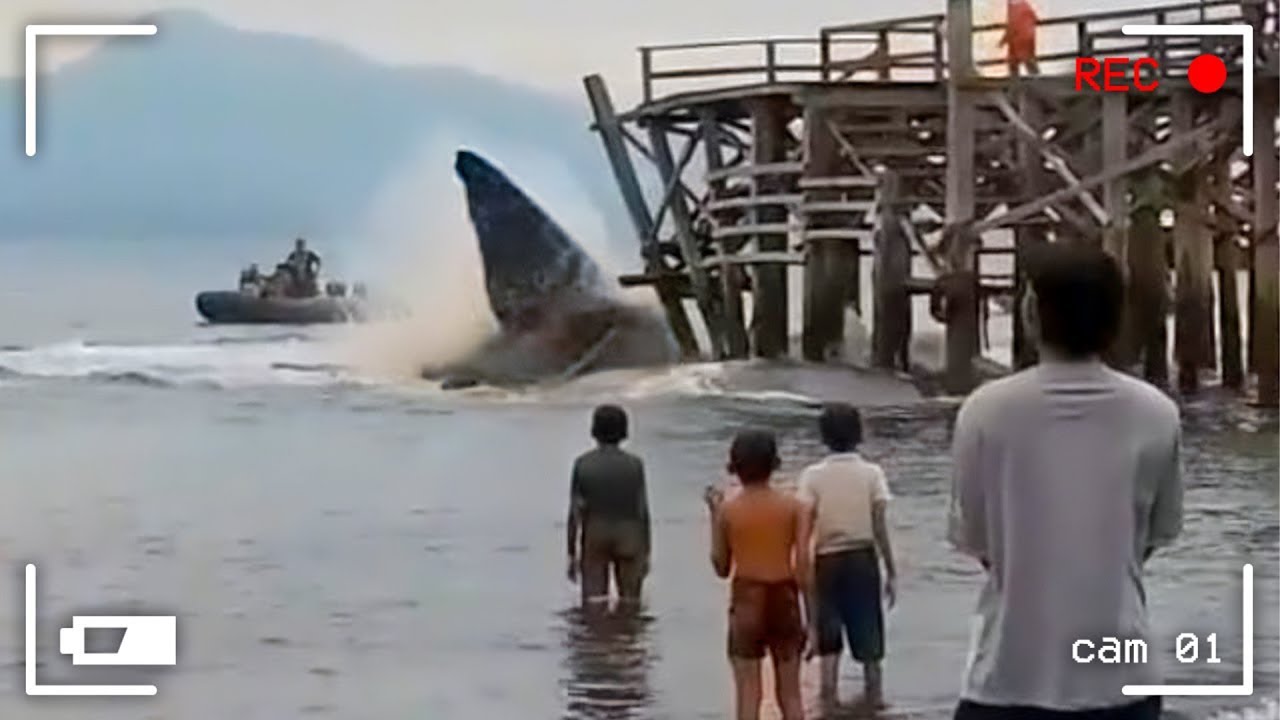 لحظات صادمة حدثت امام الكاميرات | لن تصدقها