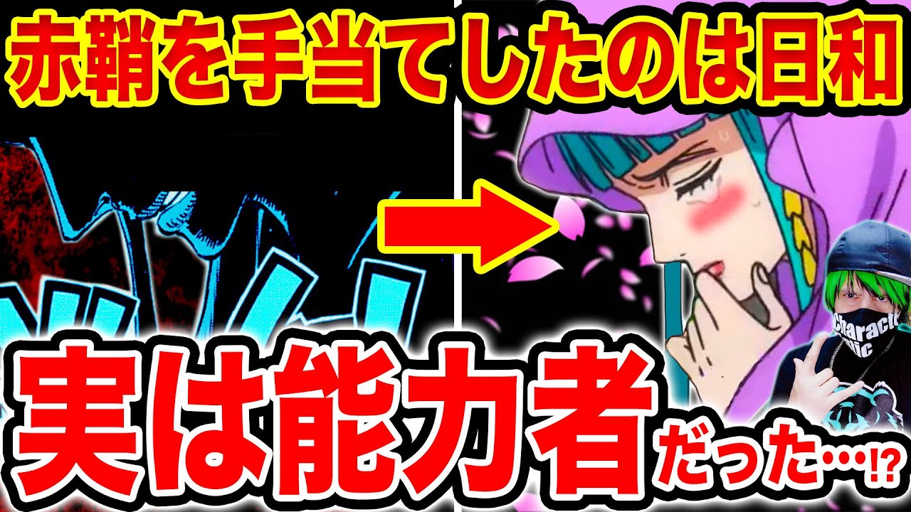 ワンピース考察 影の正体 1004話最後の人物は日和 実は光月日和は悪魔の実の能力者である可能性が ワンピース ネタバレ One Piece 考察 ワンピースの名言 名場面から学びと気づきを