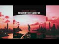 Summertime Sadness Instrumental Accordion Ricardo Castro