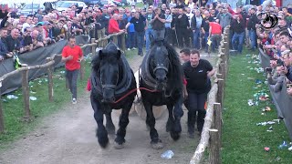 - Ducelja Sa Dva Para Teške Ponovo Na Tronu Balkana U Trnopolju -