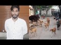 Stray dogs at various areasmsk mill ward no 40 jeelanabad maulali katta residents