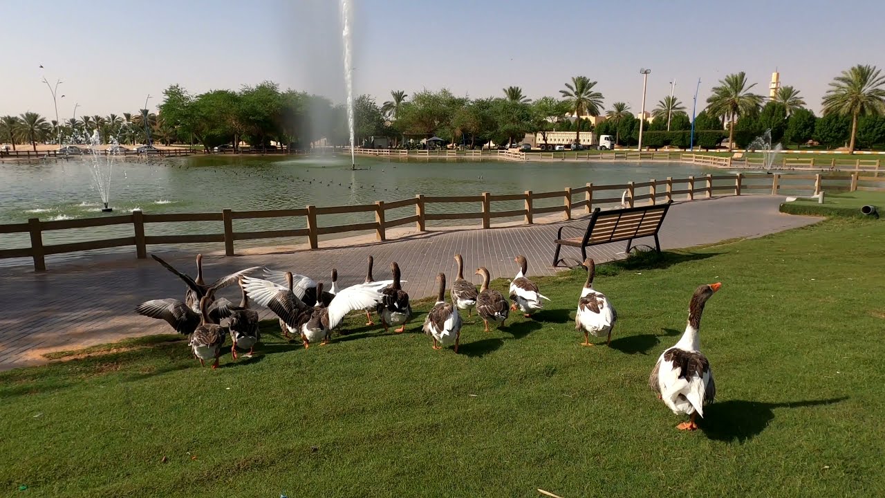 أجمل منتزهات منطقة القصيم بالمملكة العربية السعودية|The most beautiful park fonud in Saudi Arabia