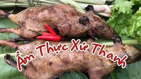 Chuột Rừng xào Xả Ớt