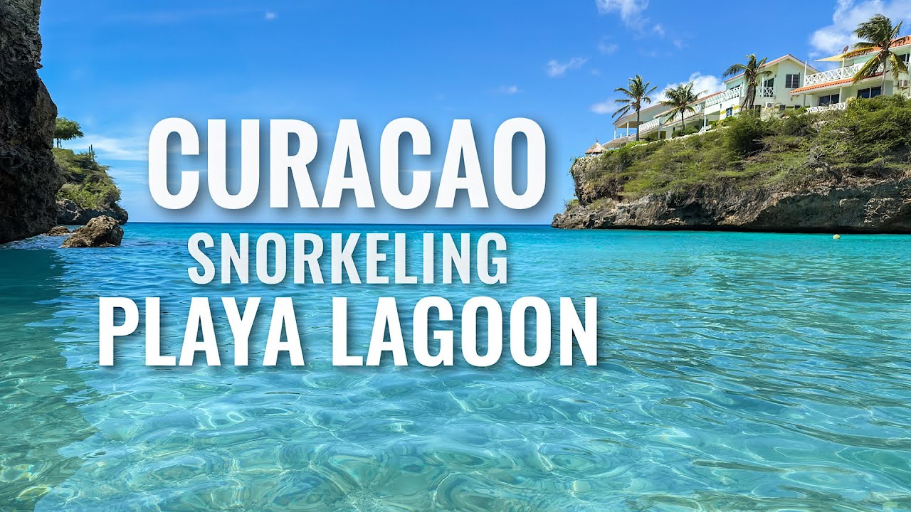 CURACAO Snorkeling Playa Lagun [4K]