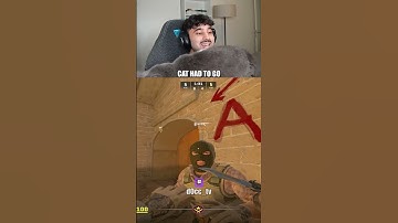 cat had to go #cs2 #csgo #counterstrike2
