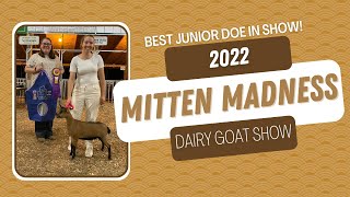 2022 Mitten Madness Dairy Goat Show