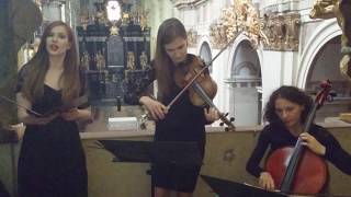 Video thumbnail of "Gloria Patri et Filio"