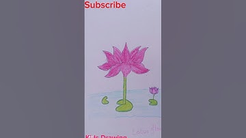 Lotus Flower Drawing #yt #art #easydrawing #guitar #music #painting #cover #yt