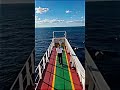 indian navy marchant ⚓ ship #army #upsc #ytshorts