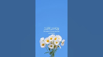 استمع إلى تلاوة مؤثرة من " (سورة الحج: 46).