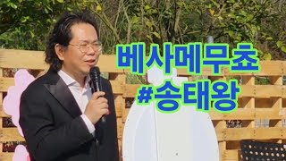 #베사메무쵸 [그랜드오페라단 #송태왕] [목포엔 #비금오빠]