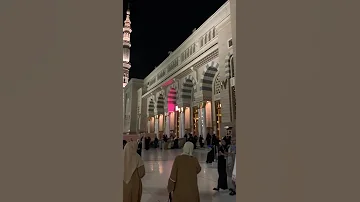 محمد نبیینا نعت نعت مسجدنبوی Ytshorts 