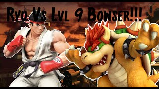 Ryu Vs Lvl 9 Bowser