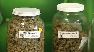 Tennessee hemp shops bracing for new ‘enormous’ impact
