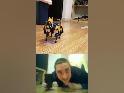 Robot Dog Sees Me