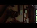 Stihl bg 50 talking video