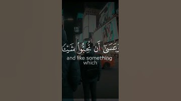 سورة البقرة أية رقم  (216) بصوت(مشاري العفاسي)