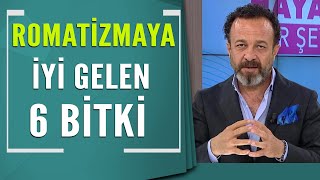 Dr. Ümit Aktaş Romatizmaya iyi gelen 6 bitkiyi açıkladı