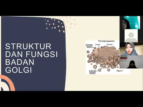 PRESENTASI KELOMPOK 4 RETIKULUM ENDOPLASMA