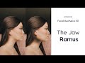 Why Your Jawline Just Doesn't Look Sharp | Facial Aesthetics 101 | The Jaw Ramus