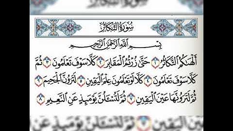 سورة التكاثر فارس عباد مكررة 5 مرات❤
