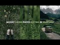How to get Moody Effect Using Snapseed | Moody Green Editing Tutorial #youtube