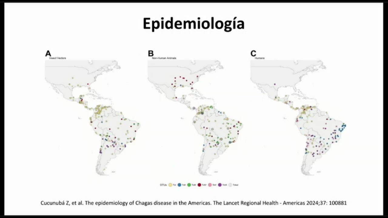 Enfermedad de Chagas: del vector al ventrículo - posgrado Infectología UNAL