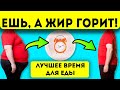 Всего 4 часа в день организм не откладывает калории в жир! Как похудеть без стресса?