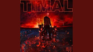 Video thumbnail of "Timal - Ailleurs (Oliver Ryon Remix)"