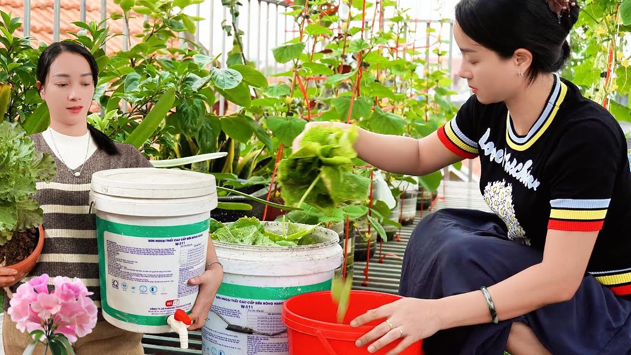 DIY Compost Bin from Plastic Bucket | Easy Organic Fertilizer for Home Garden