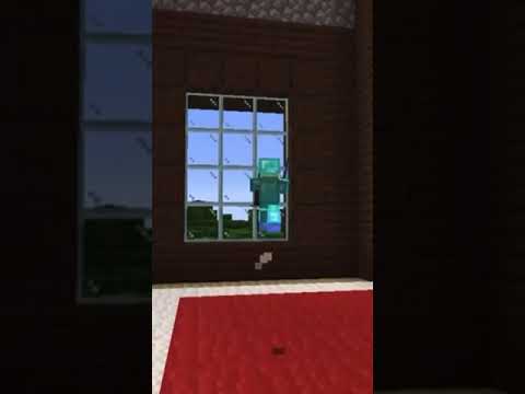 СОСИНА/СОНИСА В ЖИЗНИ