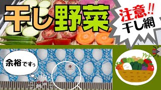 【食糧備蓄】初めて干し野菜を作ったら大変な事になった！｜干し網の問題点とは？