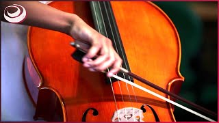 Why Classical Music Still Matters - The Power of Music Explained