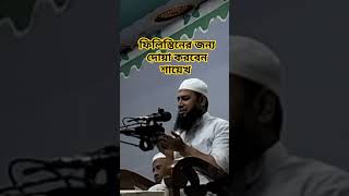 ফিলিস্তিনের জন্য দোয়া করেন। #অনলাইনআমল #islamicgojolislamic #অনলাইন #islamicpreacher