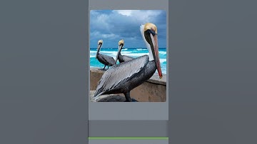 relaxing puzzle🧩 solving || #challenge #jigsaw #puzzle #cute #calm #relaxing #trending #shorts