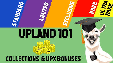 Collections 101 - everything you need to know!