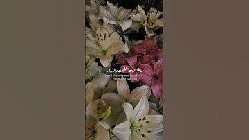 سورة آل عمران | اية 190 🫀.القارئ: @omar.diaa.aldeen1 #سورة_آل_عمران #قرآن #quran #قران_كريم