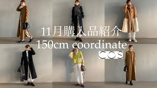 【低身長必見】総額10万円！COSの購入紹介【LOOKBOOK】