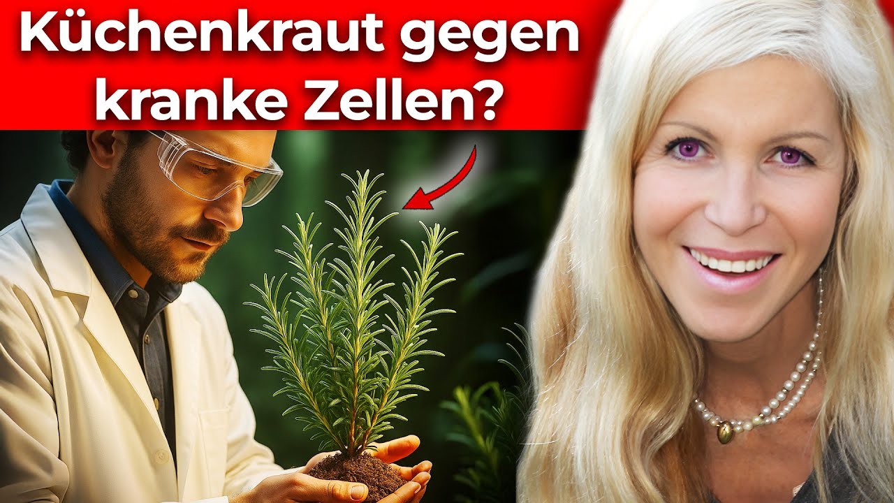 DIESES Küchen-Kraut zieht falsche Zellen aus dem Verkehr? (jeder kennt es)