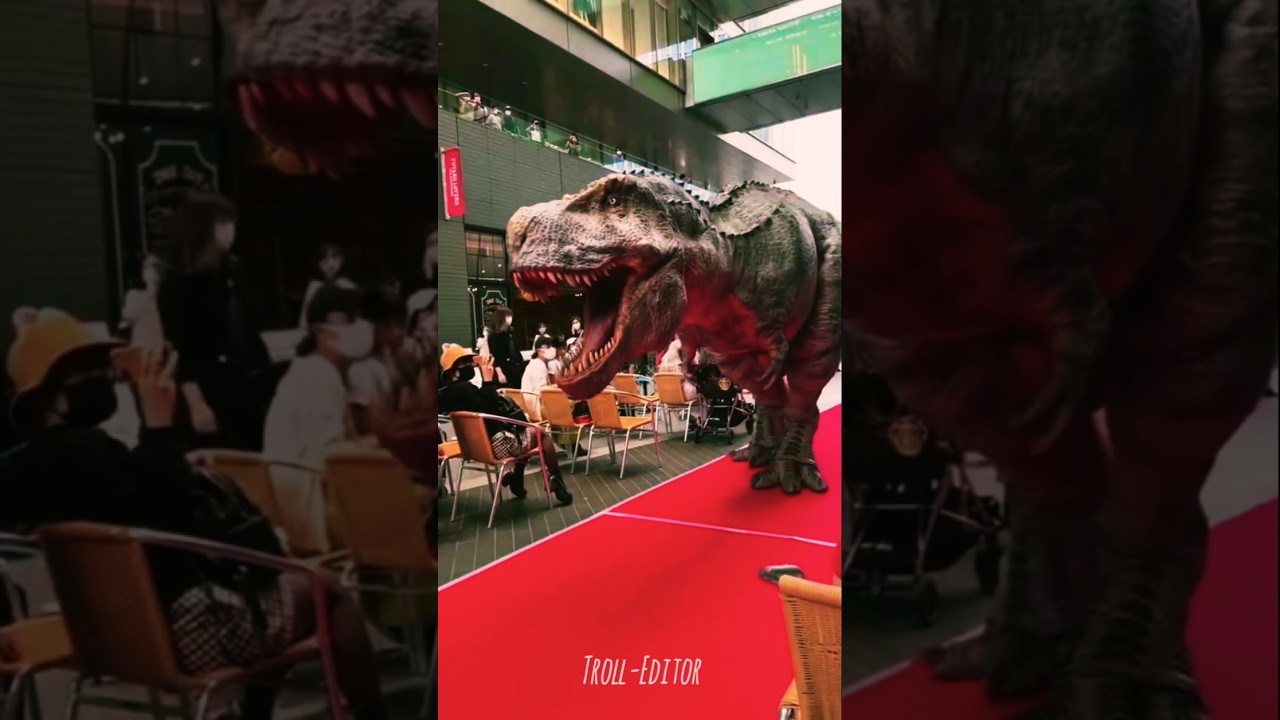 Big To Small Wild Animals Transformation Journeys!