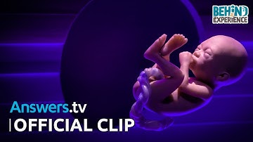 Fearfully and Wonderfully Made / Official Clip / Behind the Experience