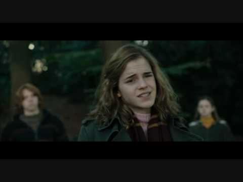Hermione Says The Darndest Things...