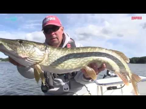 Rapala Rattlin' Minnow Spoon video