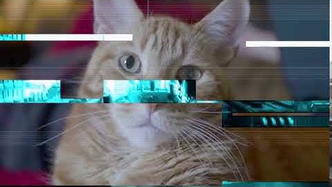 Shortest video on YouTube part 15