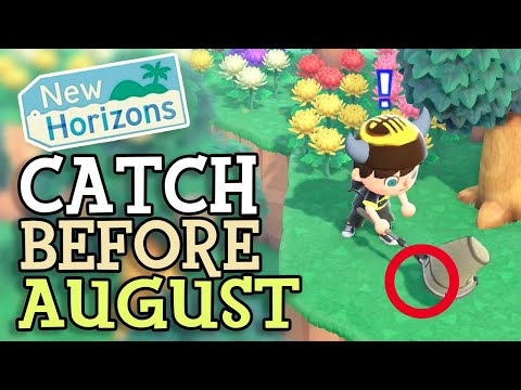 Animal Crossing New Horizons: CATCH FISH & BUGS BEFORE AUGUST (July&rsquo;s Critters You NEED To Find)