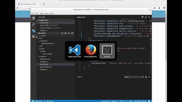 NuGet and Project json: A quick debugging tip
