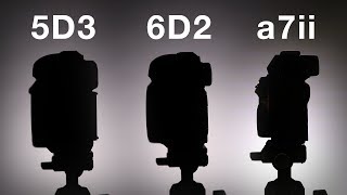 Camera Comparison: What's the Best Full Frame Camera Under $2000? 5DIII vs. 6DII vs. a7II