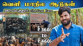 மாதம் 2500 ஆடுகள் விற்பனை/ கோயம்புத்தூர் எஸ் எம் கோட் ஃபார்ம் 
