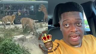 Shuler King - I Would’ve Passed Out